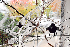 WATERCRESS HALLOWEEN